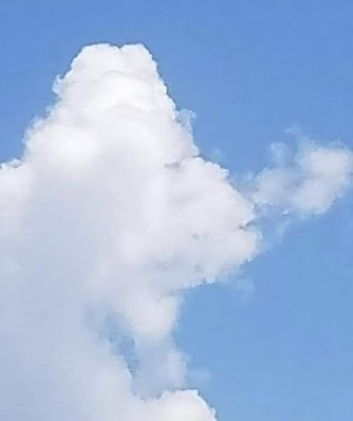 What Do You See A Fish or a Plane The Left-Brain vs Right Brain Debate