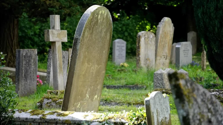At Her Son’s Grave, a Billionaire Met a Waitress with a Baby—And Finally Learned the Truth