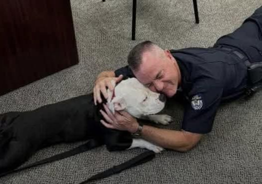 A Shelter Dog’s Big Day Led to a Forever Home He Never Saw Coming